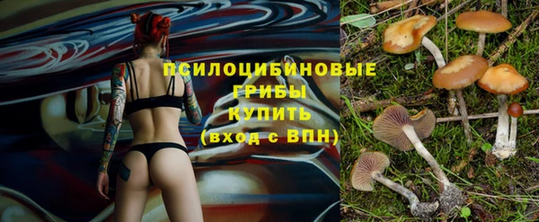 скорость Алексеевка