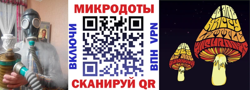 Псилоцибиновые грибы Psilocybine cubensis  Апрелевка 