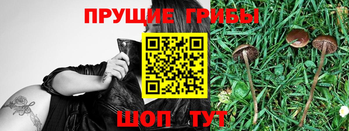 Псилоцибиновые грибы ЛСД Апрелевка