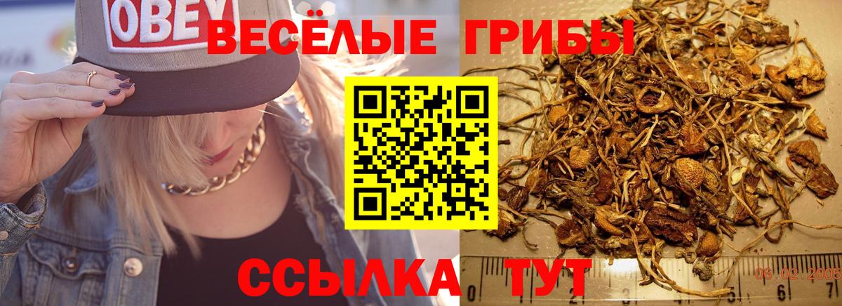 Галлюциногенные грибы Psilocybine cubensis  Вход с VPN  Апрелевка  Псилоцибиновые грибы мицелий 