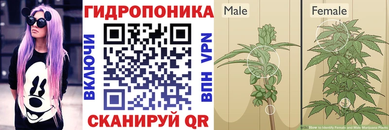 маркетплейс состав Апрелевка Бошки марихуана VHQ